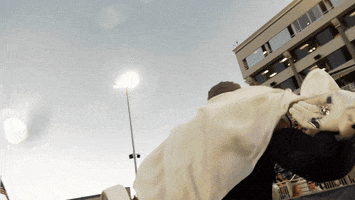 NevadaWolfPack football nevada wolf pack unr GIF