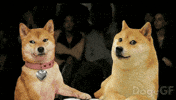 Judges GIF by DogeGF