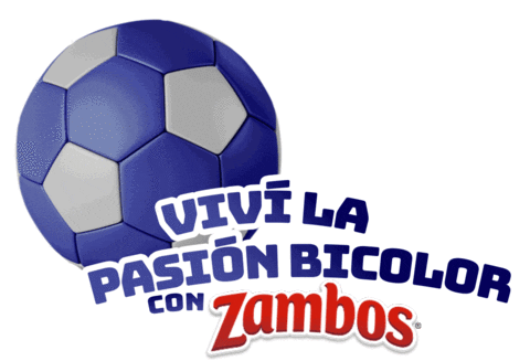 Futbol Honduras Sticker by Snacks Yummies