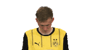 Look Up Borussia Dortmund Sticker by Bundesliga