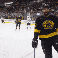 Boston Bruins Hockey GIF by Providence Bruins