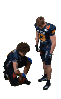 Football Sport Sticker by Dresden Monarchs