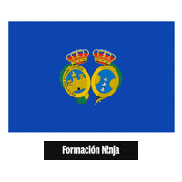 Flag Pixel Art Sticker by Formación Ninja