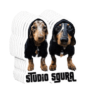Studiosgura Sticker by Giampaolo Sgura