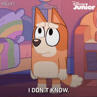 Animation Idk GIF by Disney Jr.