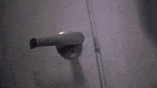 mark proksch hello GIF by Dream Corp LLC