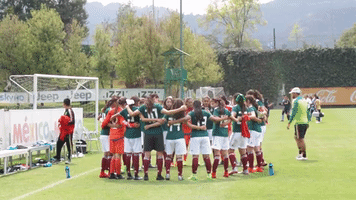 mexico goal GIF by MiSelecciónMX