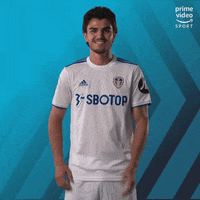 Premier League Football GIF by Prime Video