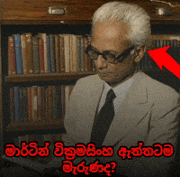 Sri Lanka Martin GIF