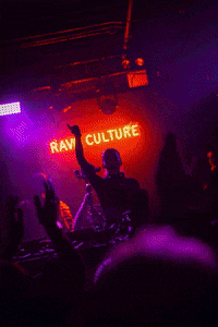 Rave Raveculture GIF by Techno Brooklyn