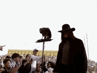 Rest In Peace Sport GIF by WWE
