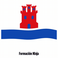 Castilla Y Leon Bandera GIF by Formación Ninja