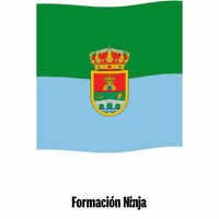 Castilla Y Leon Bandera GIF by Formación Ninja