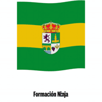 Castilla Y Leon Flag GIF by Formación Ninja