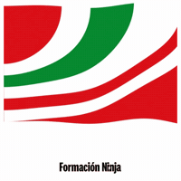 Castilla Y Leon Bandera GIF by Formación Ninja