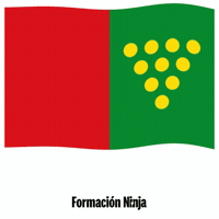 Castilla Y Leon Flag GIF by Formación Ninja
