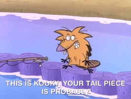 nickrewind nicksplat angry beavers GIF
