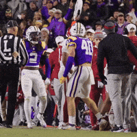 College Football GIF by LSU Tigers