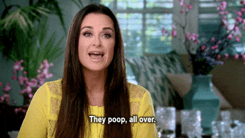 real housewives GIF by RealityTVGIFs