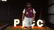 Softball Juco GIF by Pearl River Athletics