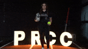 Softball Juco GIF by Pearl River Athletics