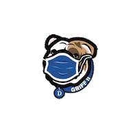 Des Moines Mask Sticker by DrakeUGriff