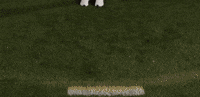 Lacrosse GIF by Lafayette Leopards