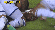 GIF by TD Más