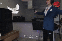 Husam GIF