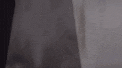 Lyric Video Strangers GIF by Maddie And Tae