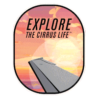Plane Sticker by Cirrus