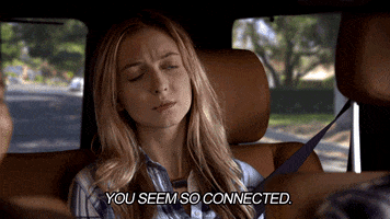 grinder fox GIF by The Grinder