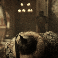 Dizi Yaruki GIF by WASS Medya