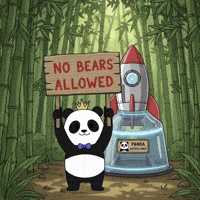 Rocket GIF by Pandu Pandas