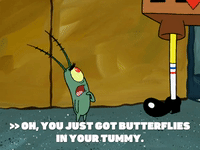 season 6 episode 22 GIF by SpongeBob SquarePants