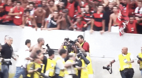 Soccer Futebol GIF by Flamengo