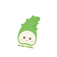 Sticker Makeup Sticker by Nature Republic Indonesia