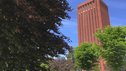 du bois library spring GIF by UMass Amherst
