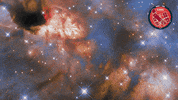 Stars Glowing GIF by ESA/Hubble Space Telescope