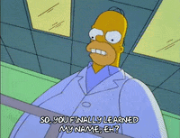 homer simpson GIF