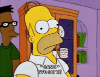 homer simpson episode 3 GIF