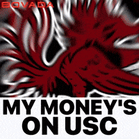 South Carolina Usc GIF by Bovada