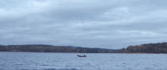thelma GIF by The Orchard Films
