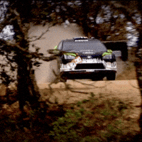 Ford Legend GIF by FIA World Rally Championship