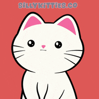 Blink Ok GIF by Silly Kitties