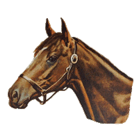 Yahoo Horse Sticker by Milton Menasco