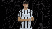 Svs1916 GIF by SV Sandhausen
