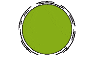 Weed Sticker by Bloom House