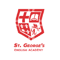 STGAcademy  Sticker