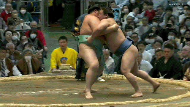 TZ85 giphyupload sumo kotonowaka wakatakakage GIF
